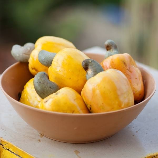 Careers - Join Our Team